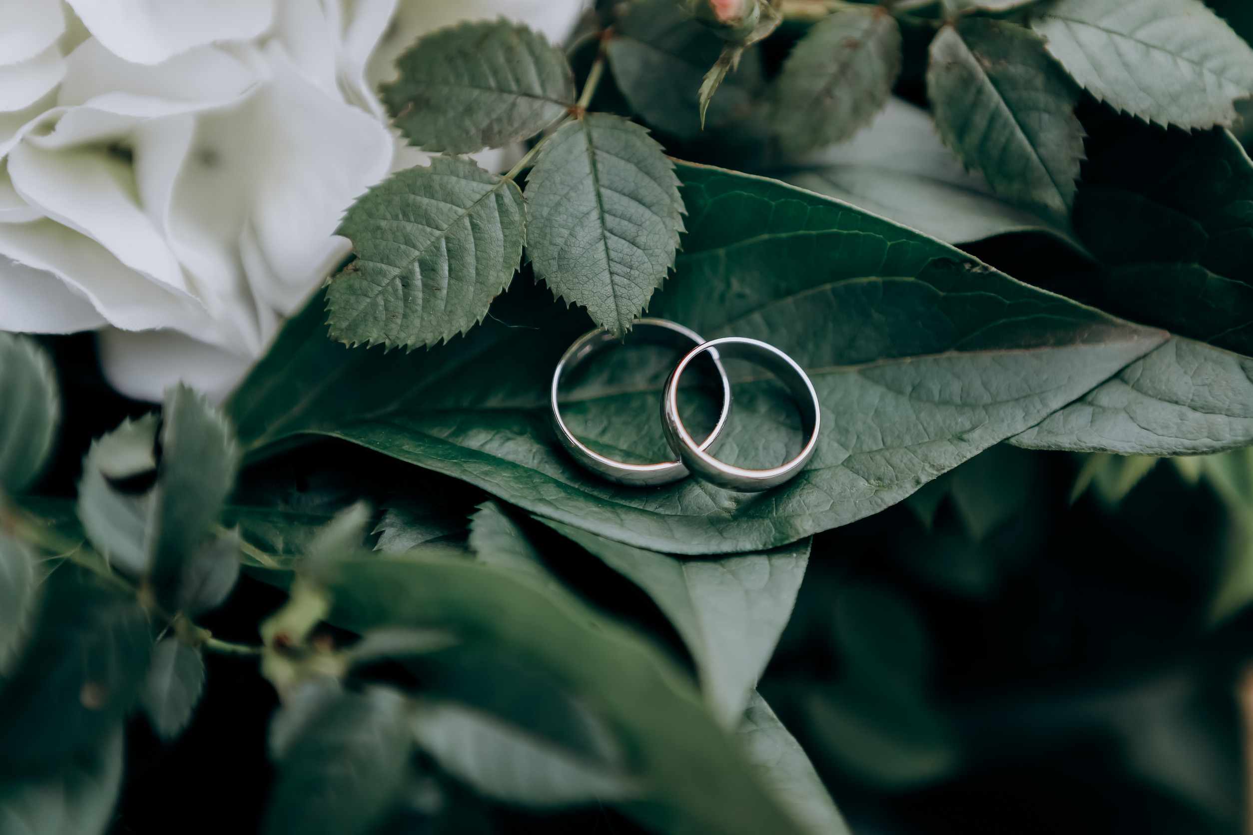 wedding rings lie on a bouquet, symbolizing good faith marriage.